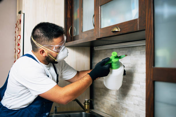 Best Residential Pest Control  in Horse Pasture, VA