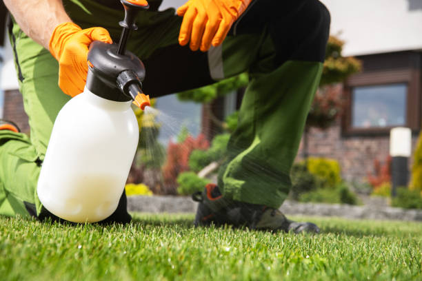 Best Commercial Pest Control Services  in Horse Pasture, VA