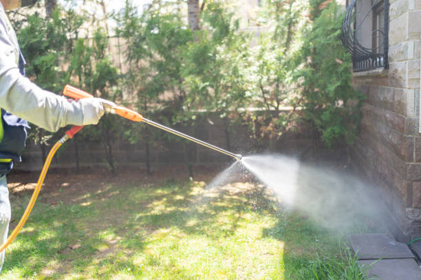 Professional Pest Control in Horse Pasture, VA