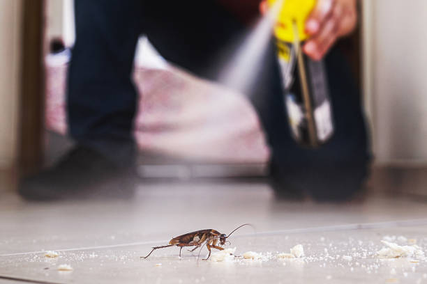 Best Pest Prevention Services  in Horse Pasture, VA