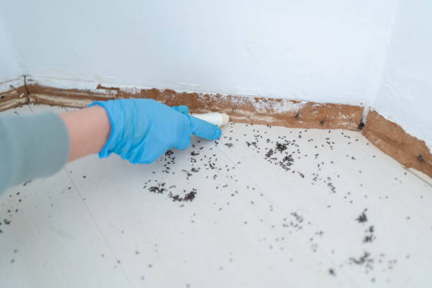 Best Pest Inspection Near Me  in Horse Pasture, VA