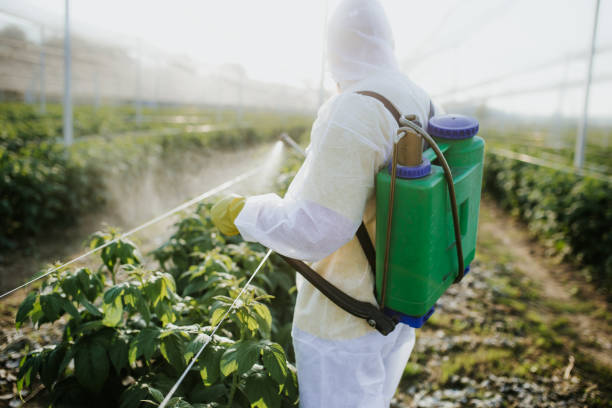 Pest Control Cost in Horse Pasture, VA